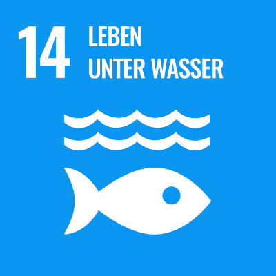 Nachhaltigkeitsziel #14: Leben unter Wasser