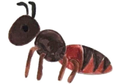 Zeichnung einer Ameise